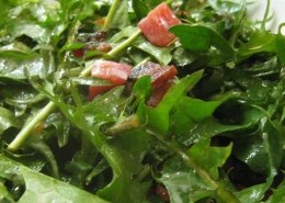 Radfika Salatası