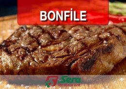 Bonfile