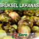 Brüksel Lahanası