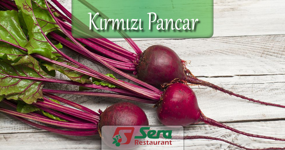 Kırmızı Pancar