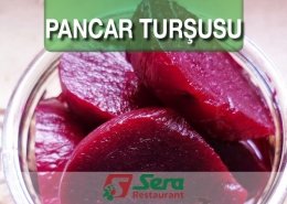 Pancar Turşusu