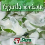 Yoğurtlu Semizotu