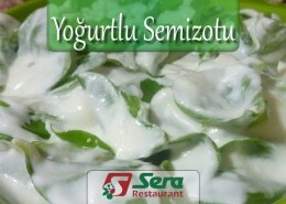 Yoğurtlu Semizotu