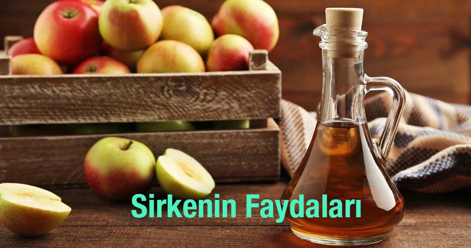 Sirkenin Faydaları