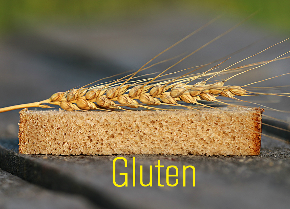 Gluten