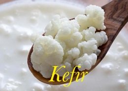 Kefir