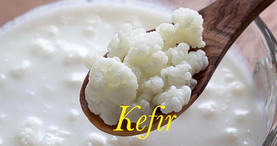 Kefir Üzerine Yapılan Analizler