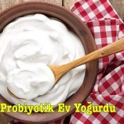 Probiyotik Ev Yoğurdu