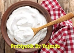 Probiyotik Ev Yoğurdu