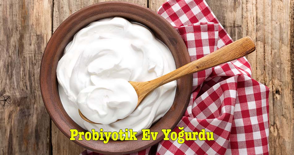 Probiyotik Ev Yoğurdu