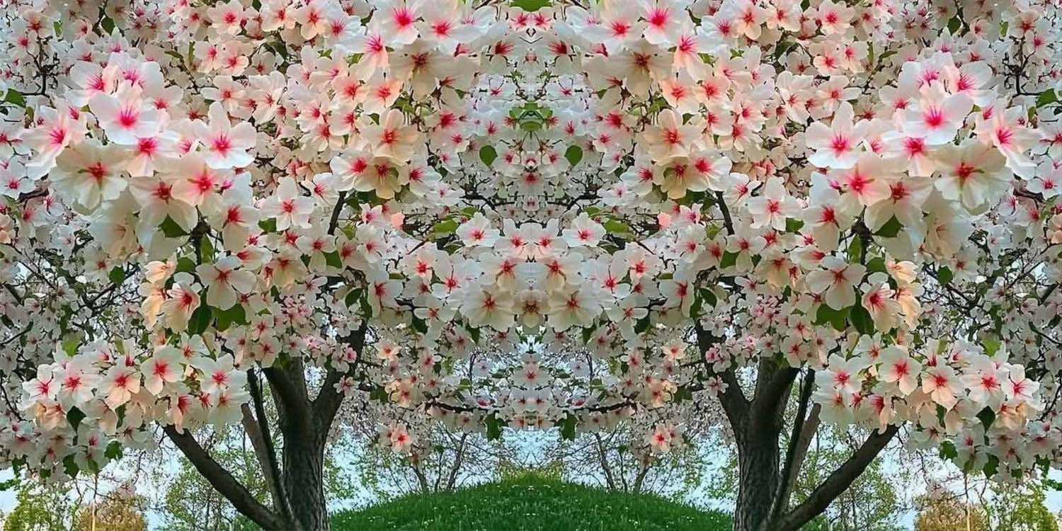 sera-restaurant-kapak